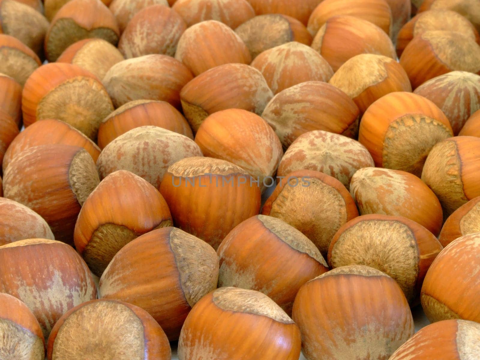 Hazelnuts