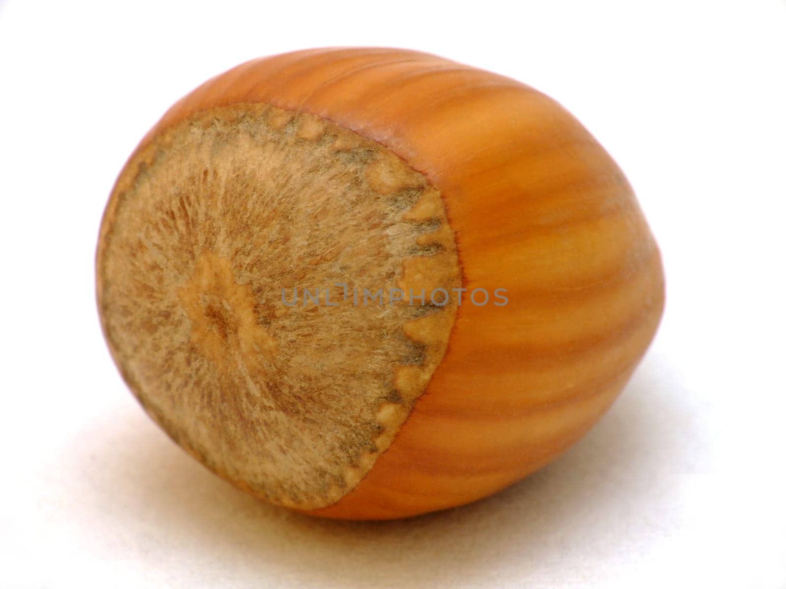 Hazelnut