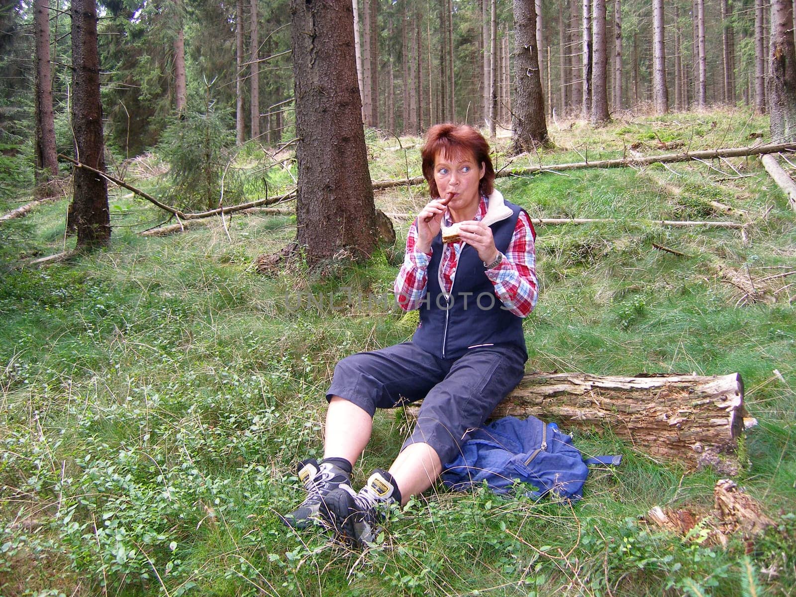 Hiking break in the beautiful Harz Mountains.