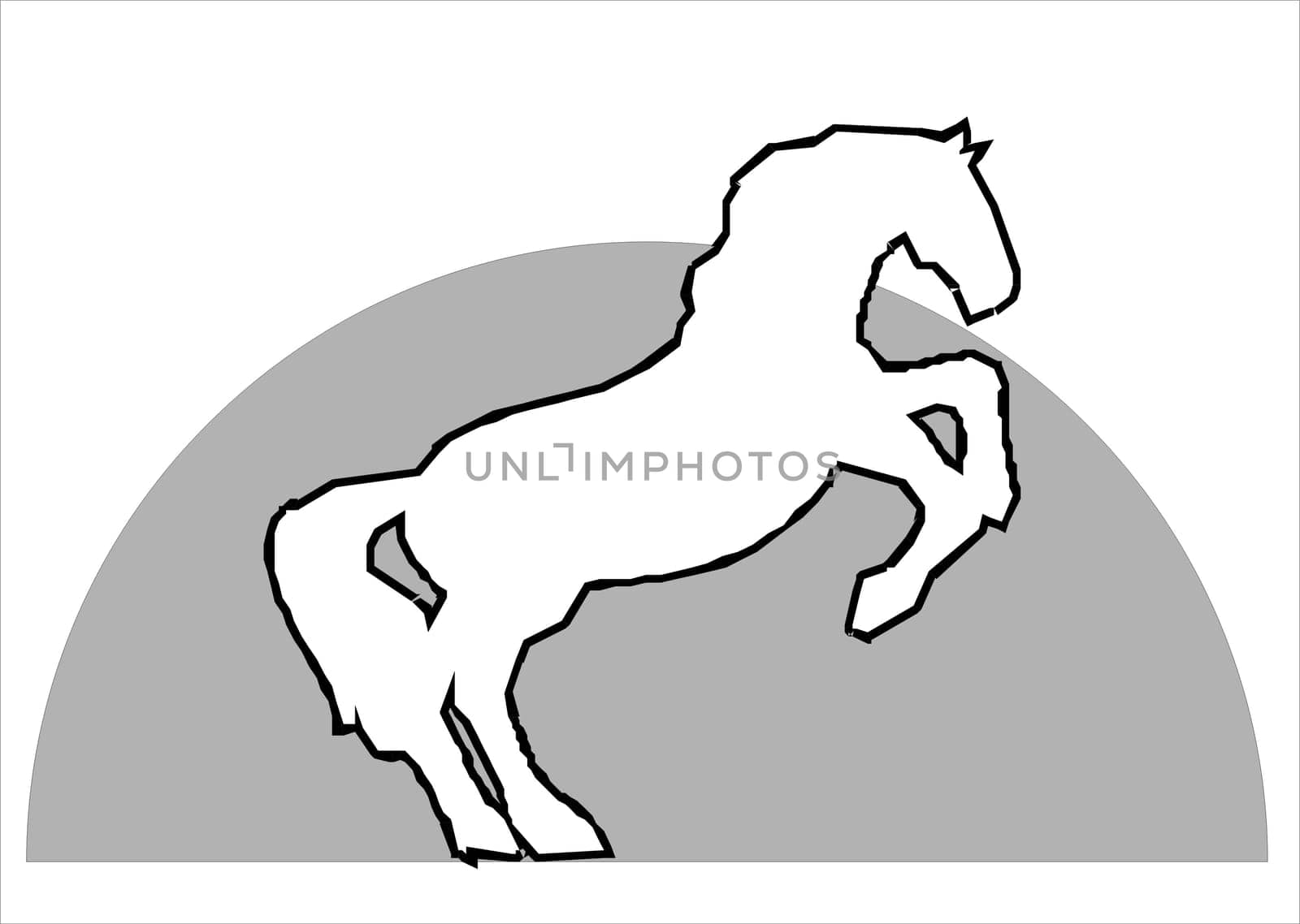 Horse 01