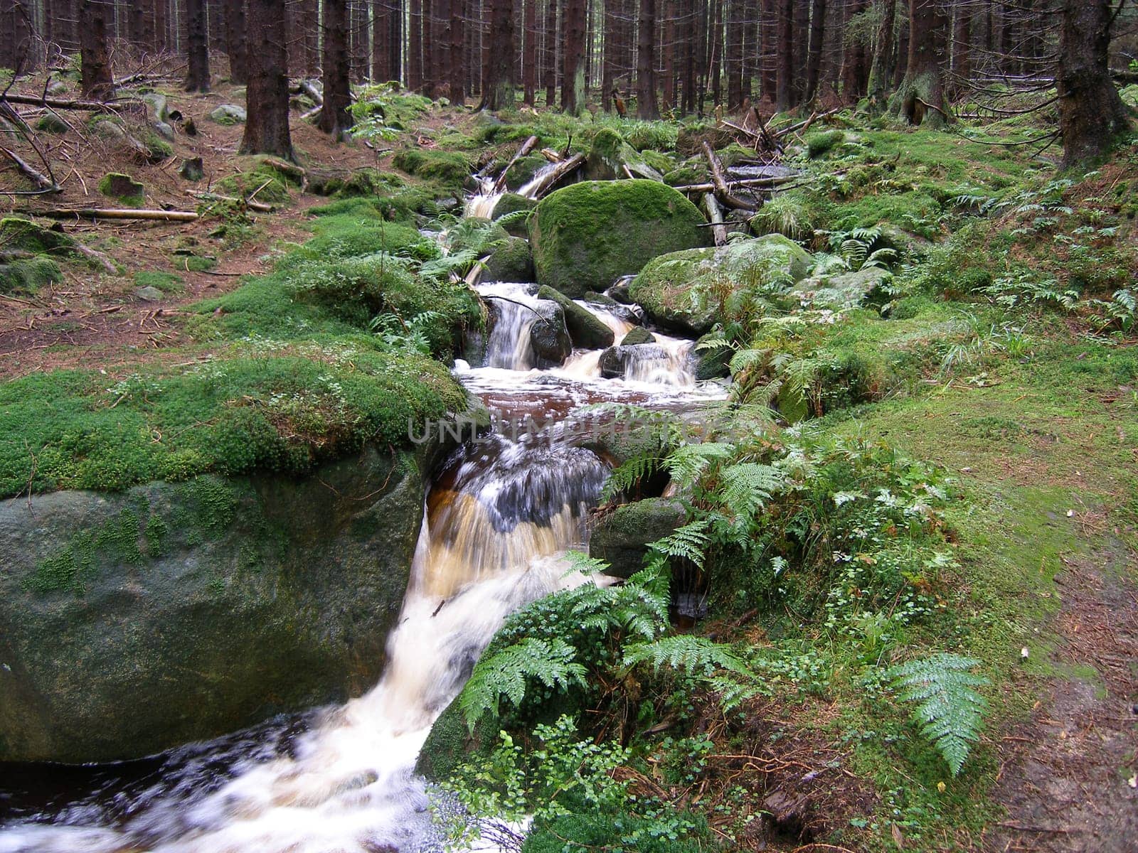 Watercourse
