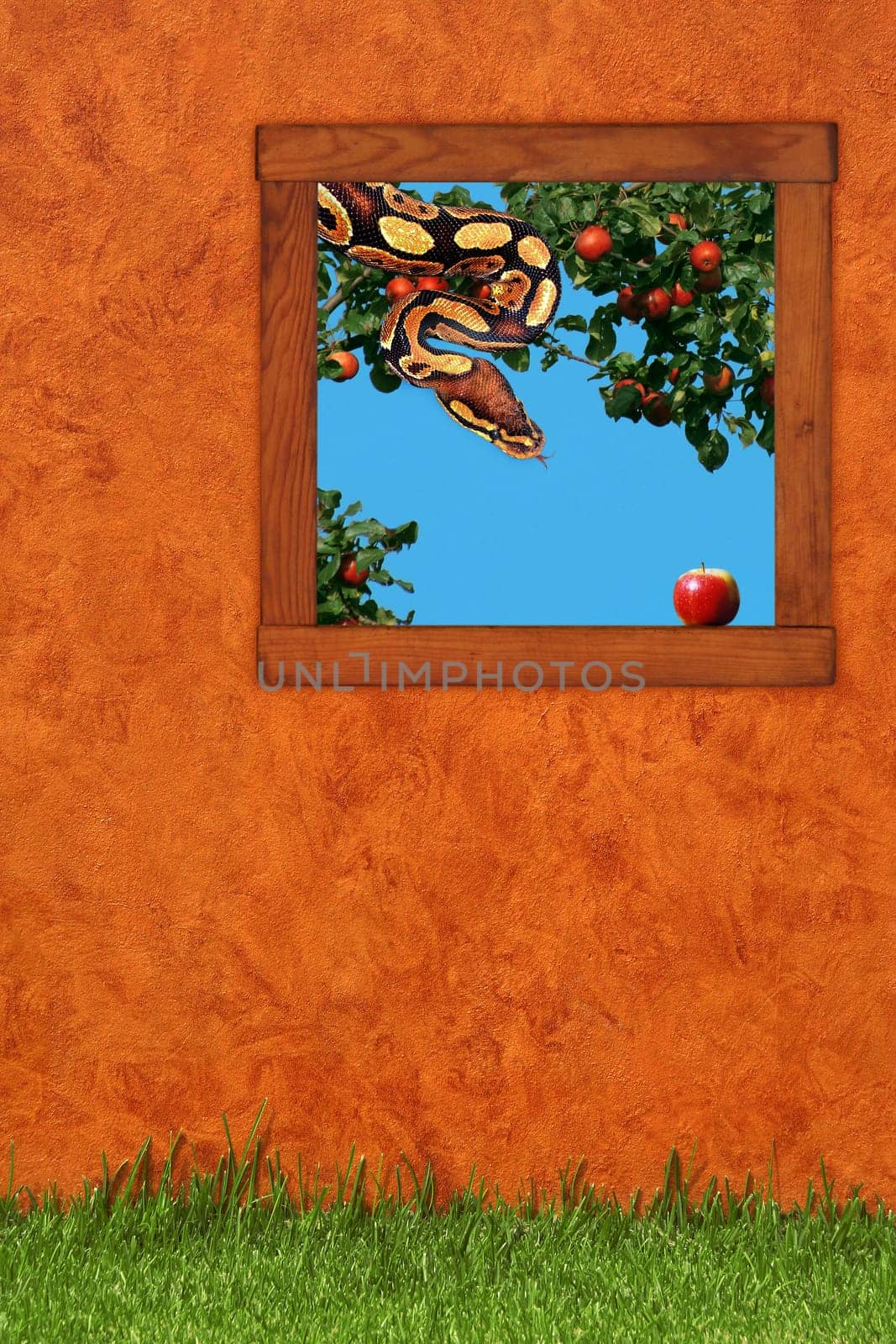 Insight (9)