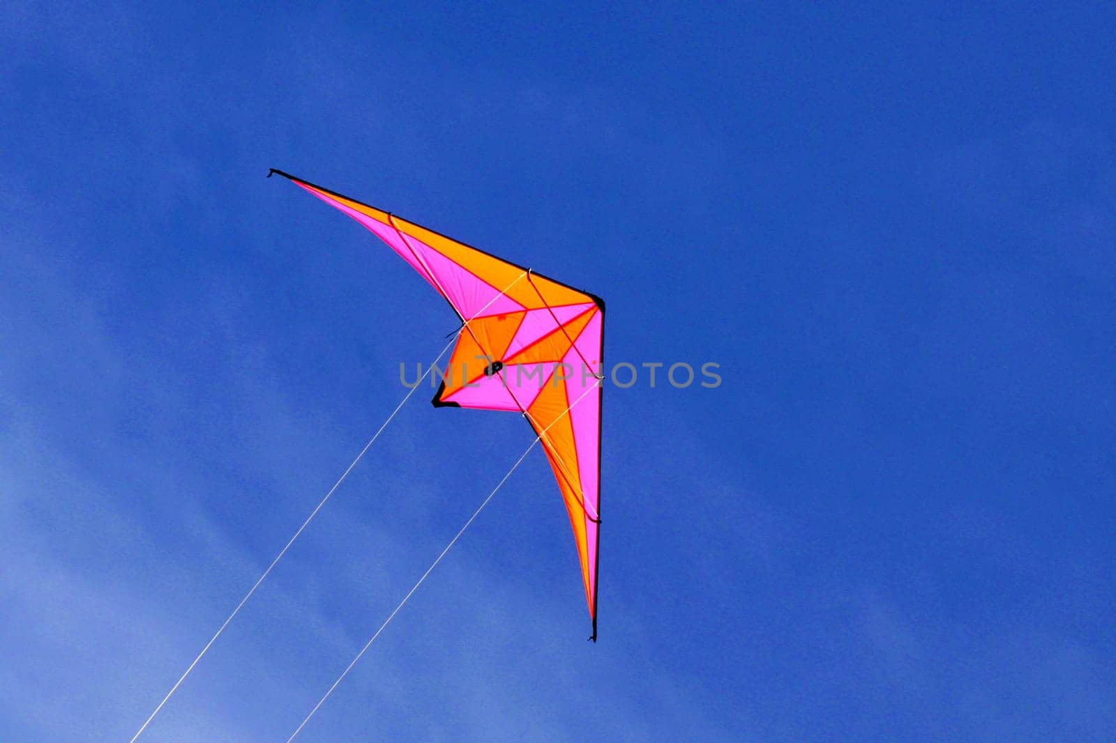 Kite