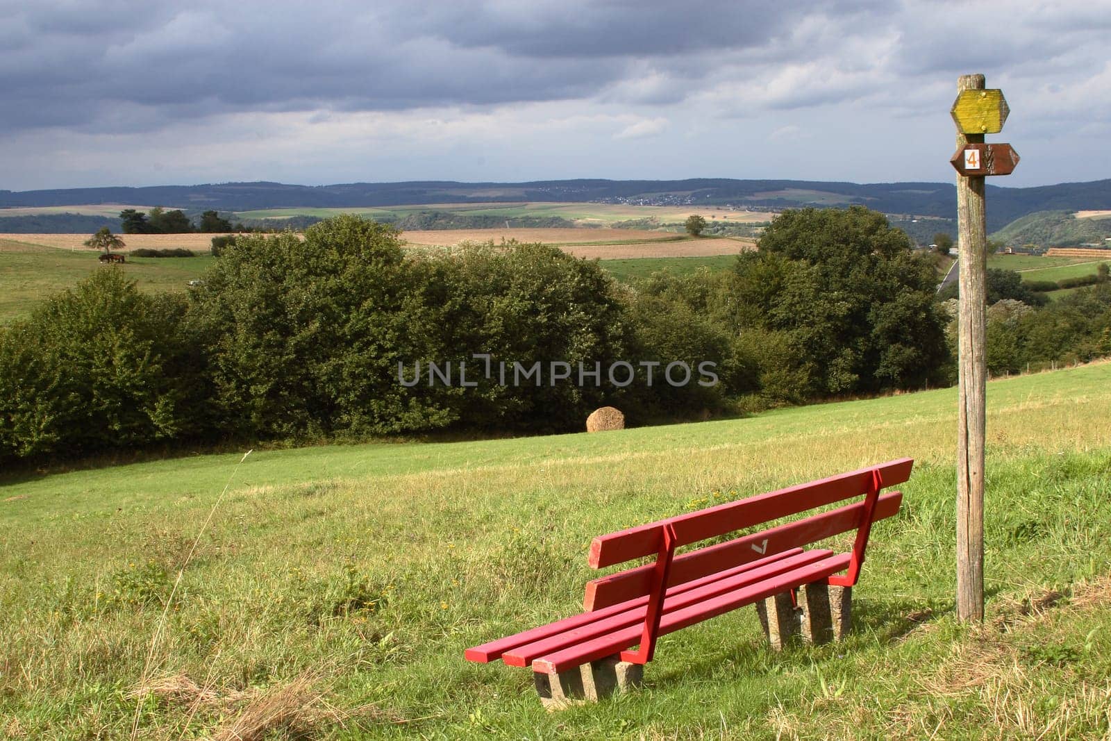 Red Bench
