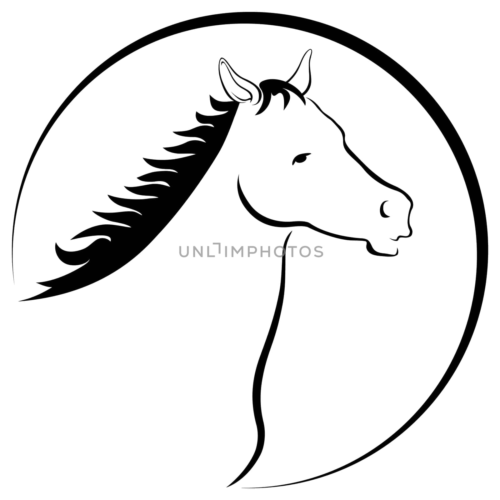 Horse Head Drawing