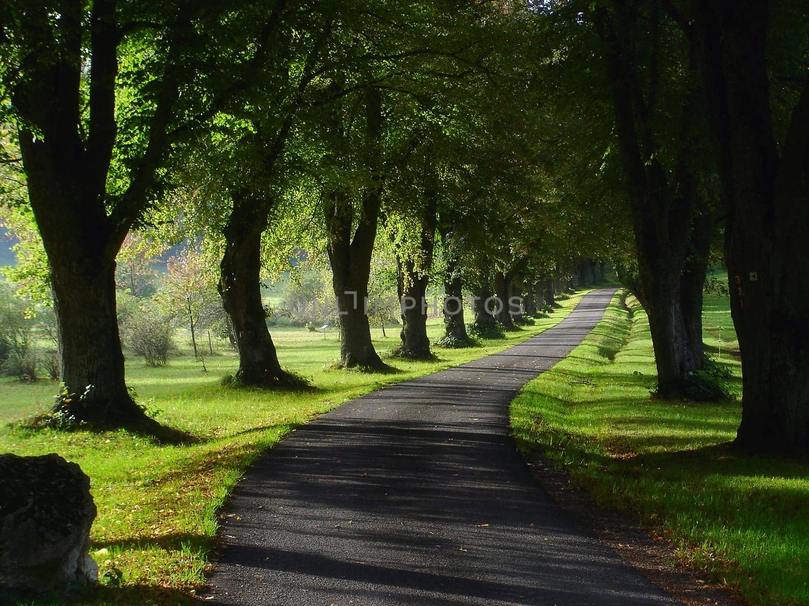 Avenue