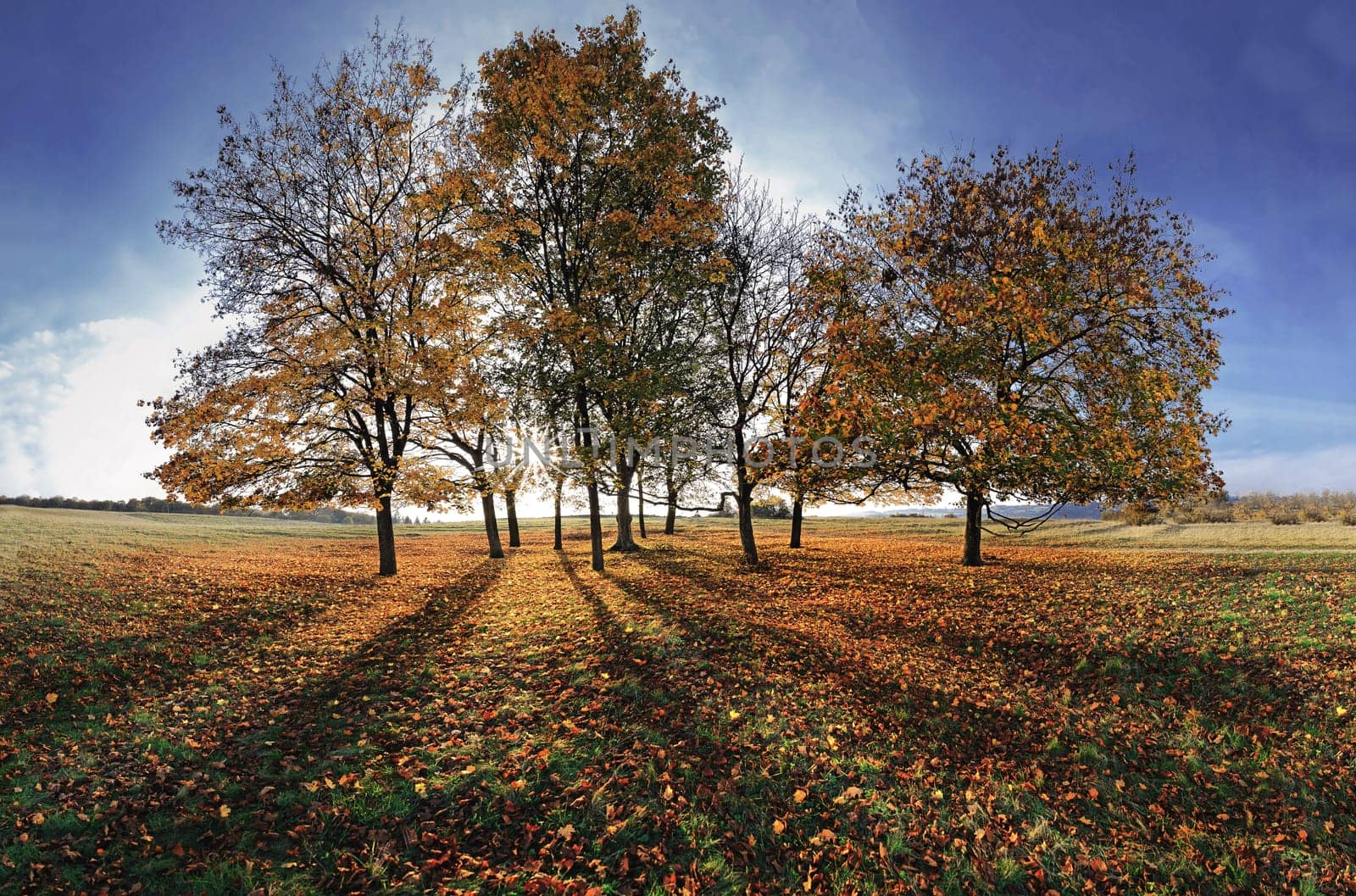 The shot is composed of 6 wide-angle portrait shots with PtGui