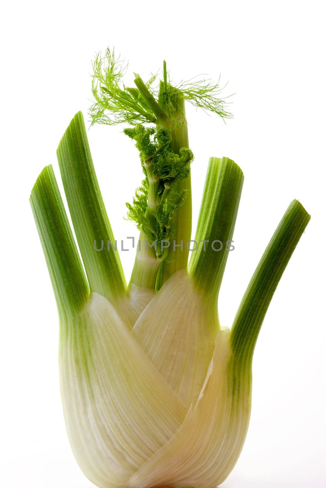 Healthy nutrition