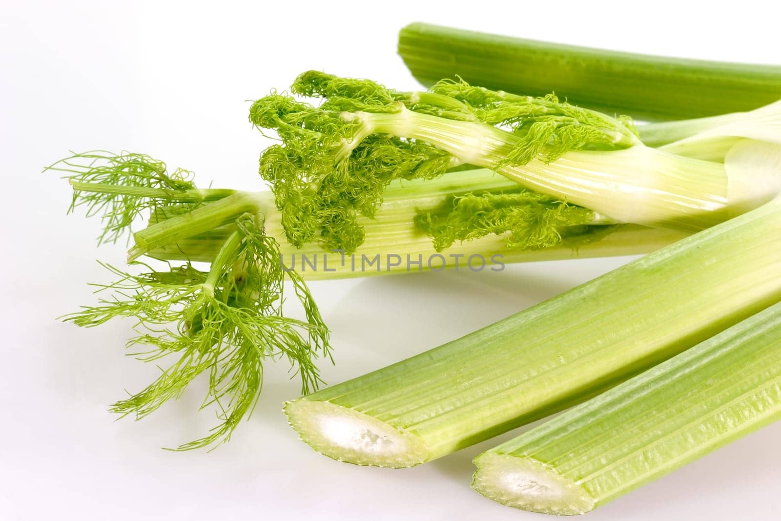 Medicinal plant
