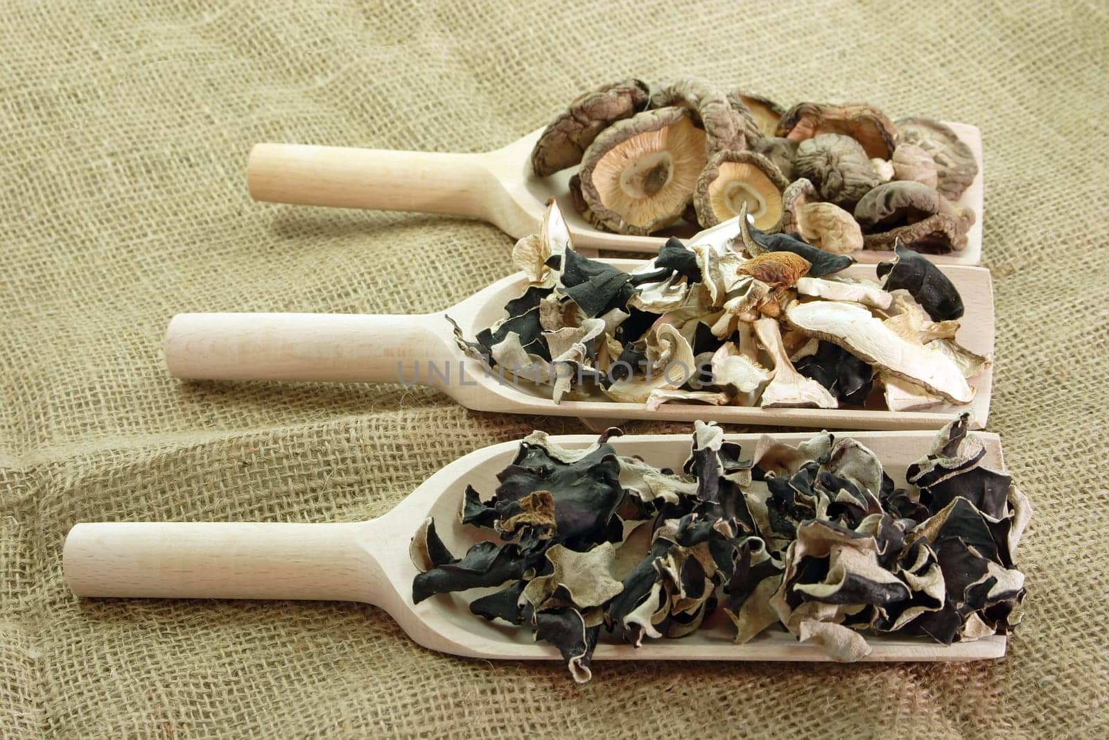 Mushroom assortment