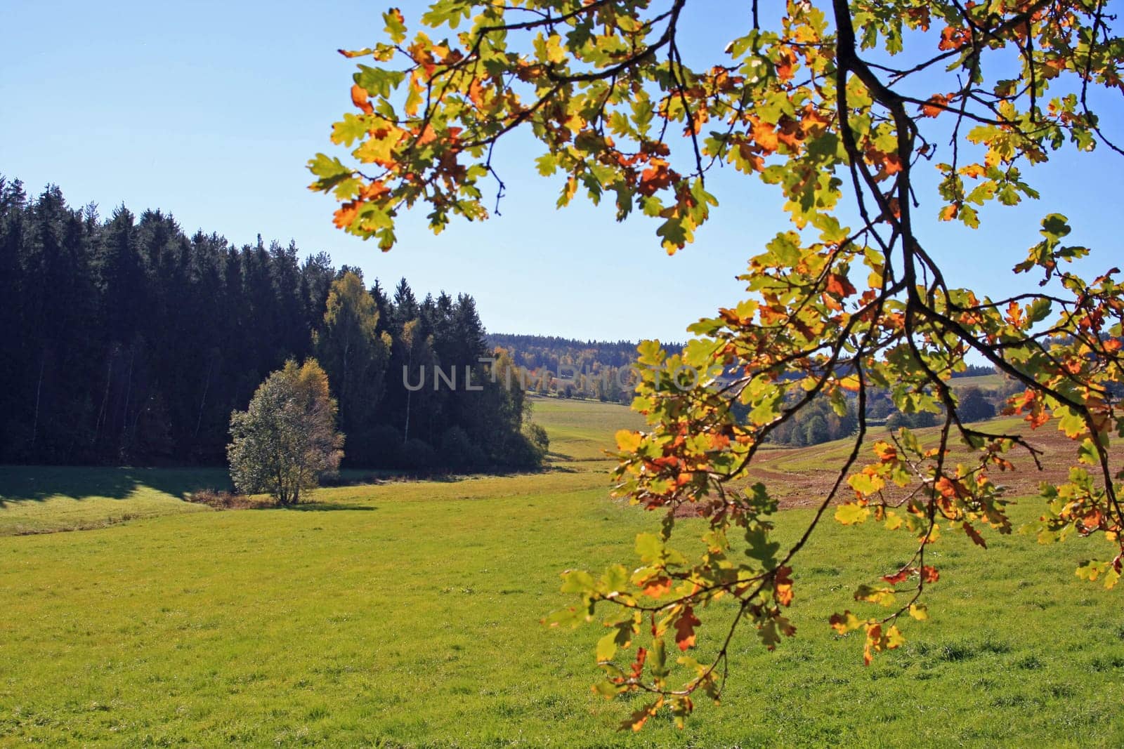 Autumn Landscape