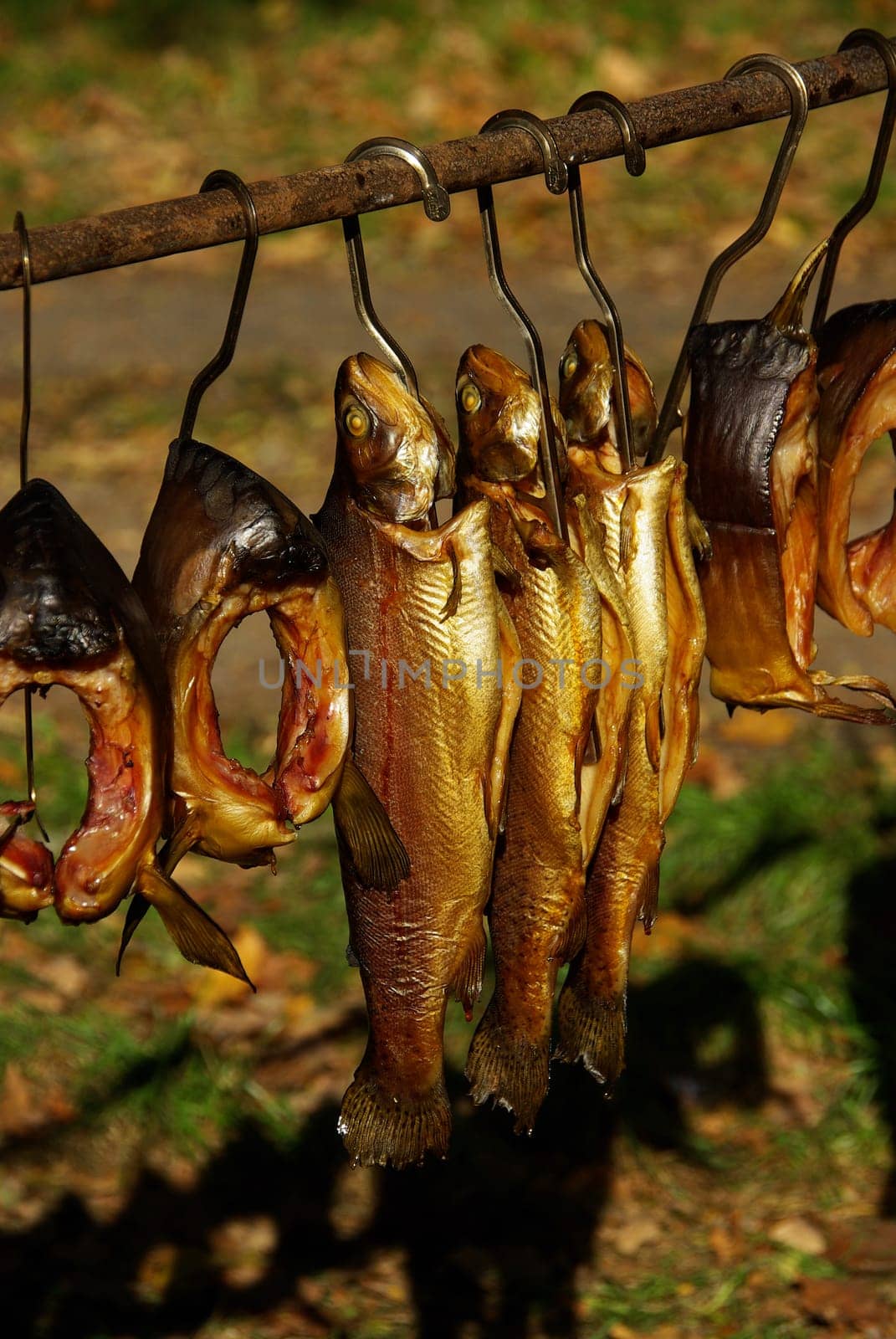 Räuerfisch 01