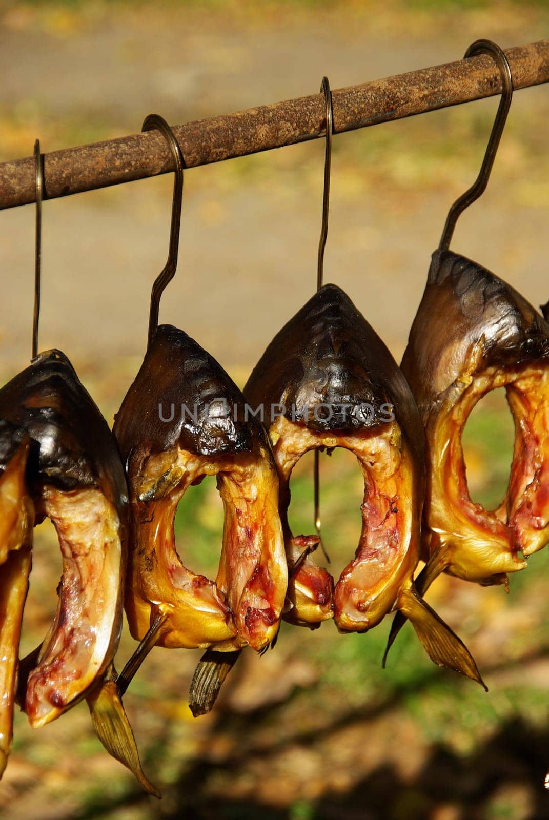 Räuerfisch 05