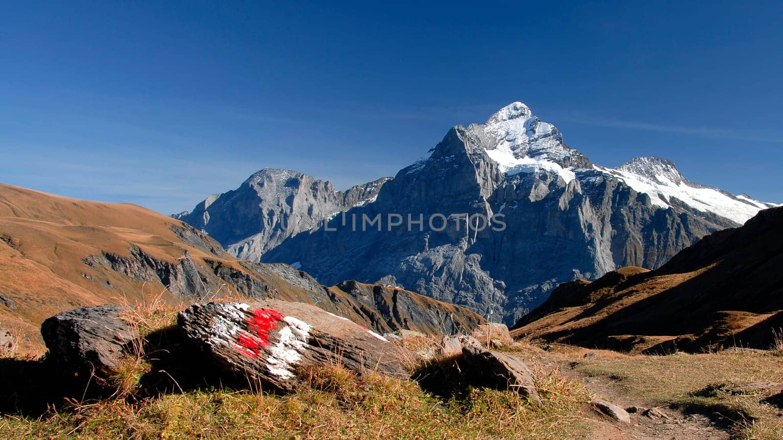 The Wetterhorn has an altitude of 3,692 m above sea level. It can be found in the Bernese Oberland in Switzerland above Grindelwald and Rosenlaui