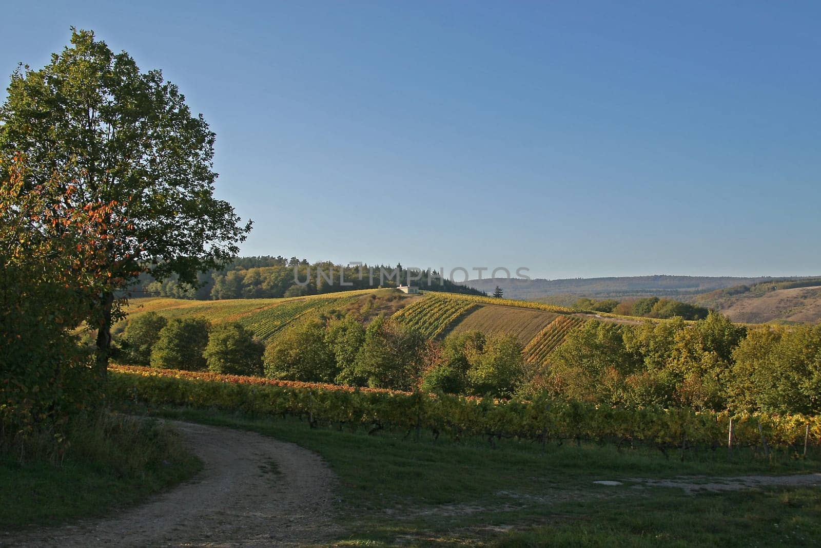 Autumnal