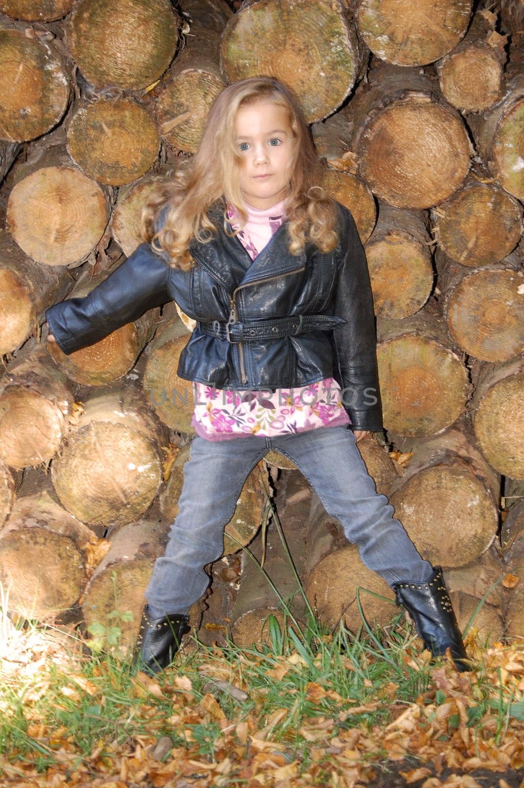 My Wood