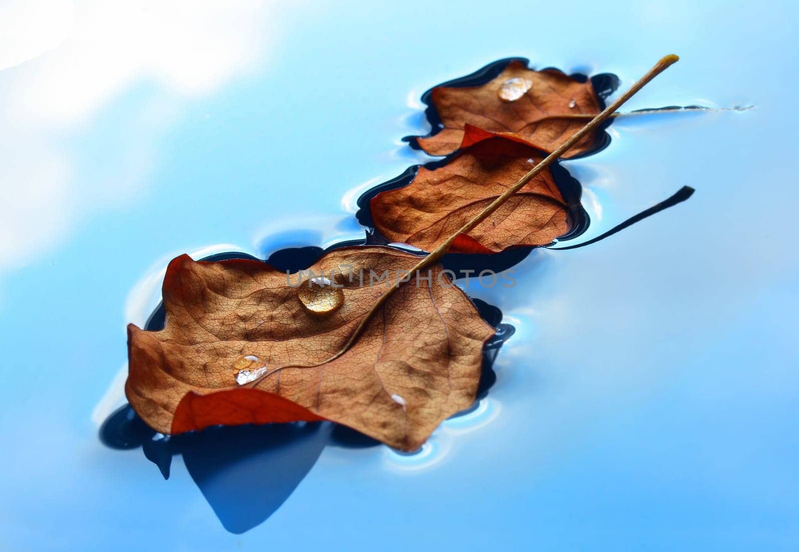floating contrast