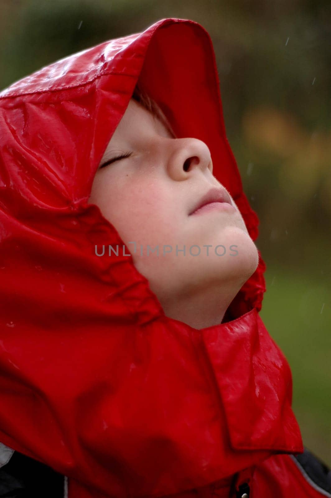 Rain shower