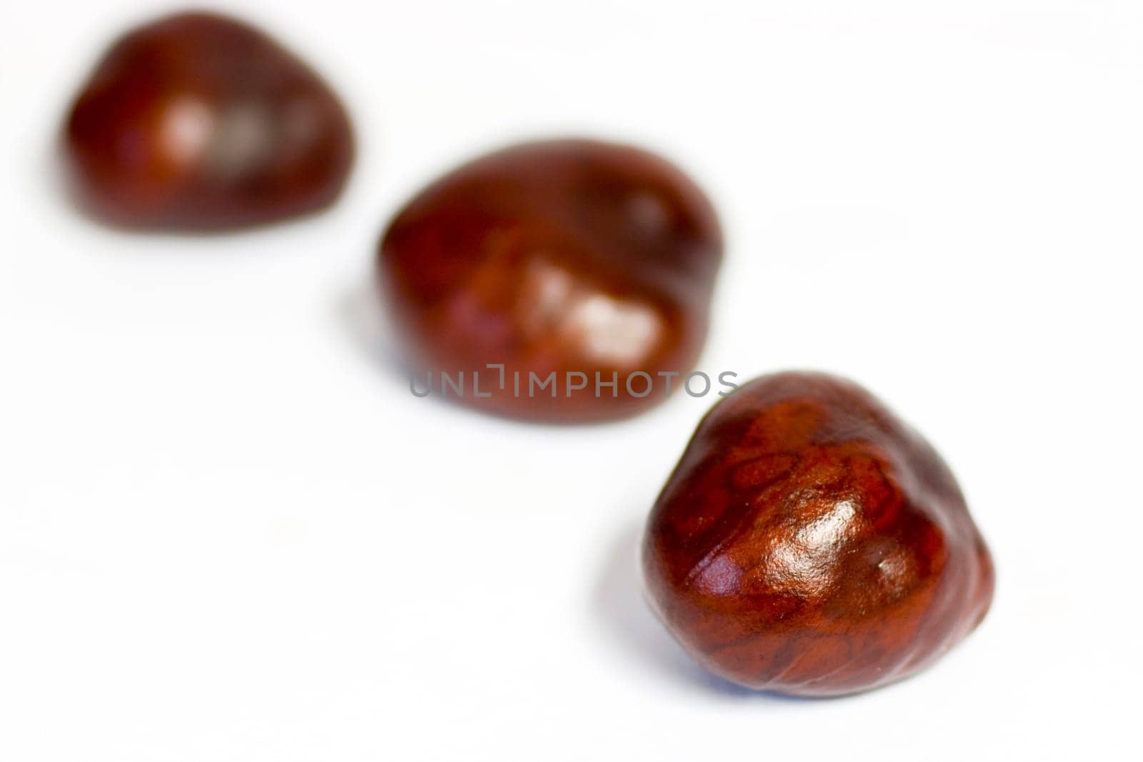 Horse chestnuts