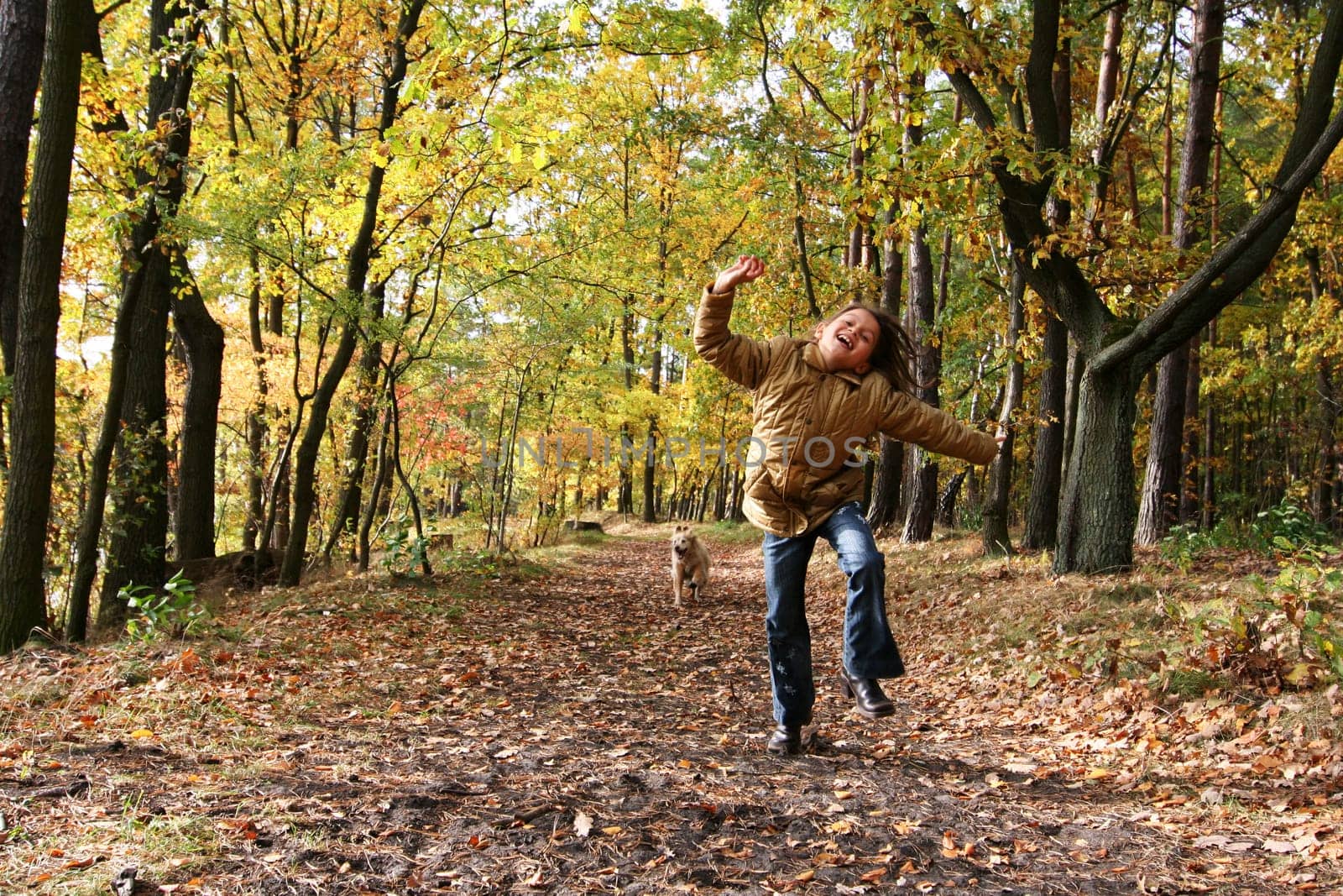 Autumn Delights