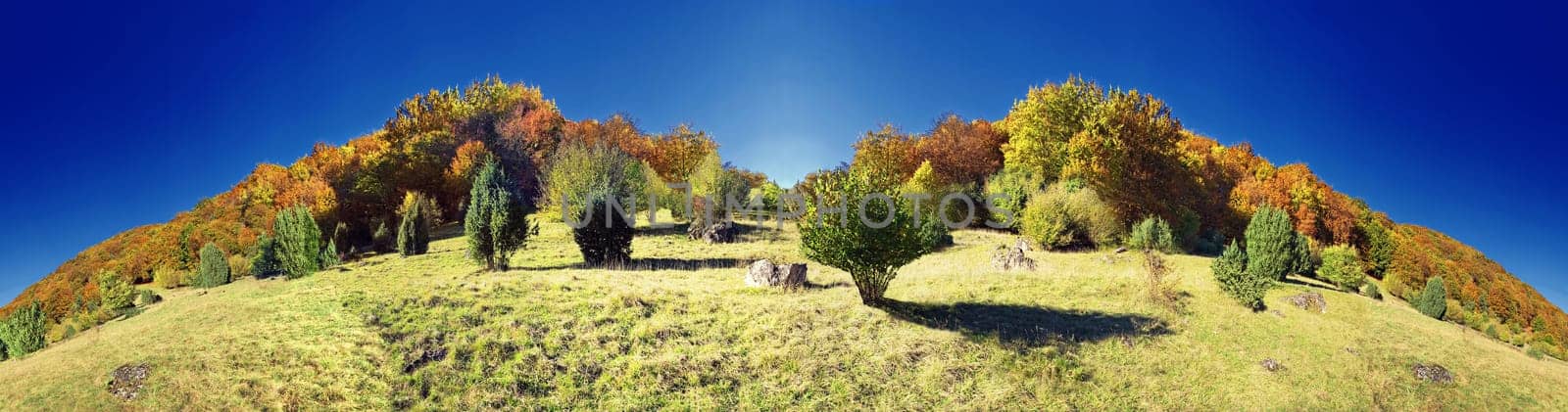 Autumn Landscape