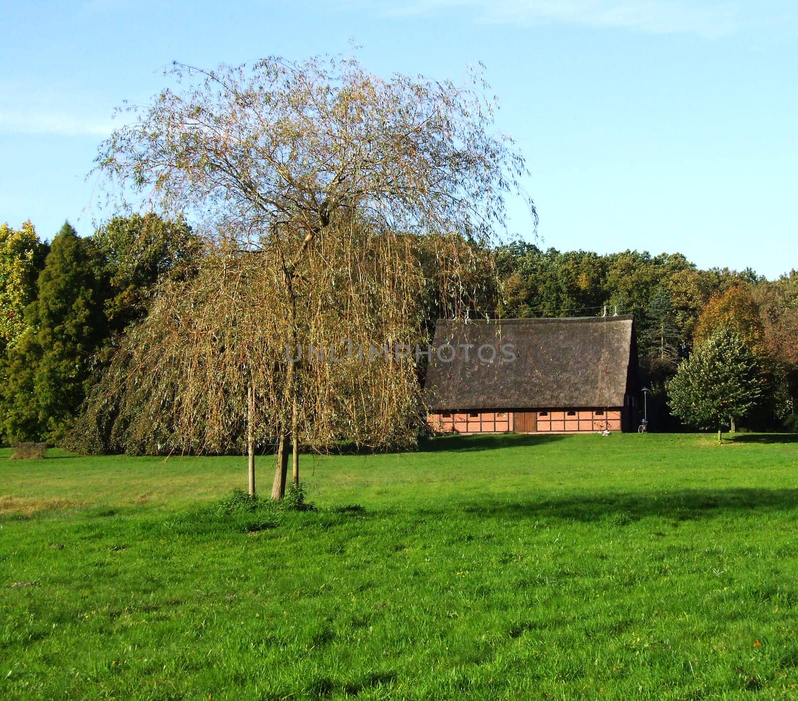 rural