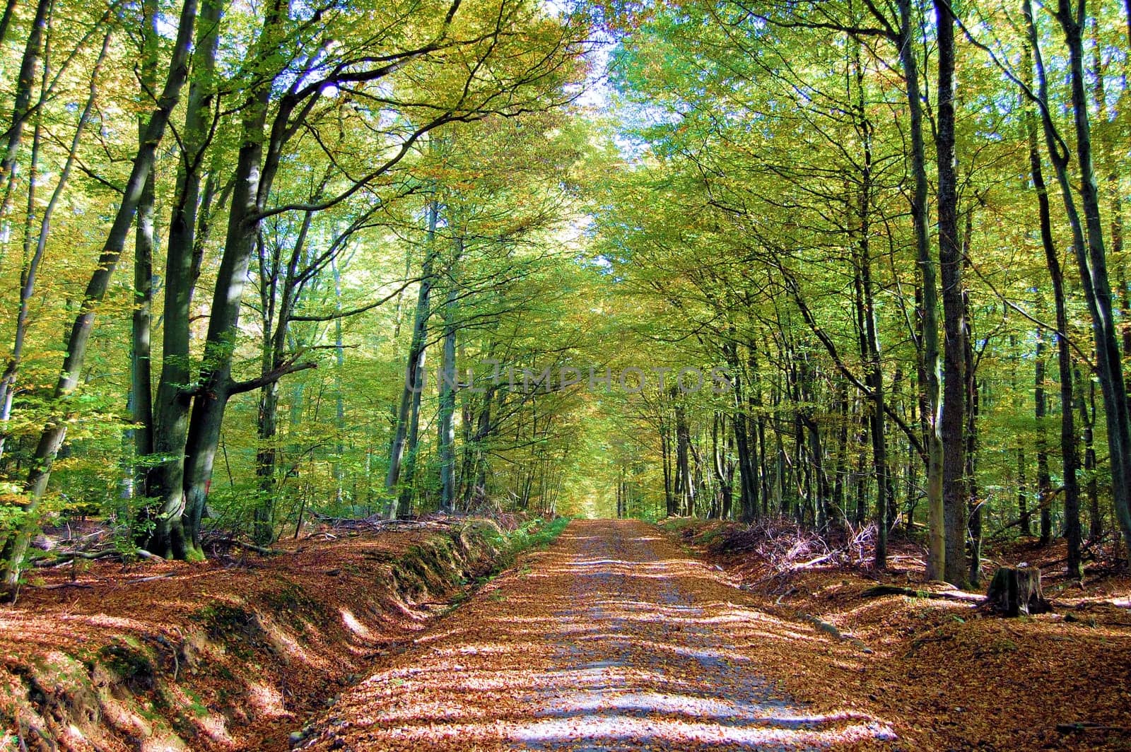 Uphill
