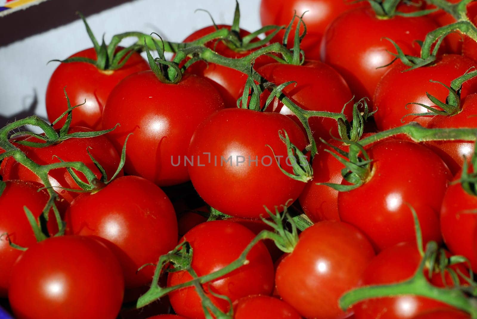 Tomatoes