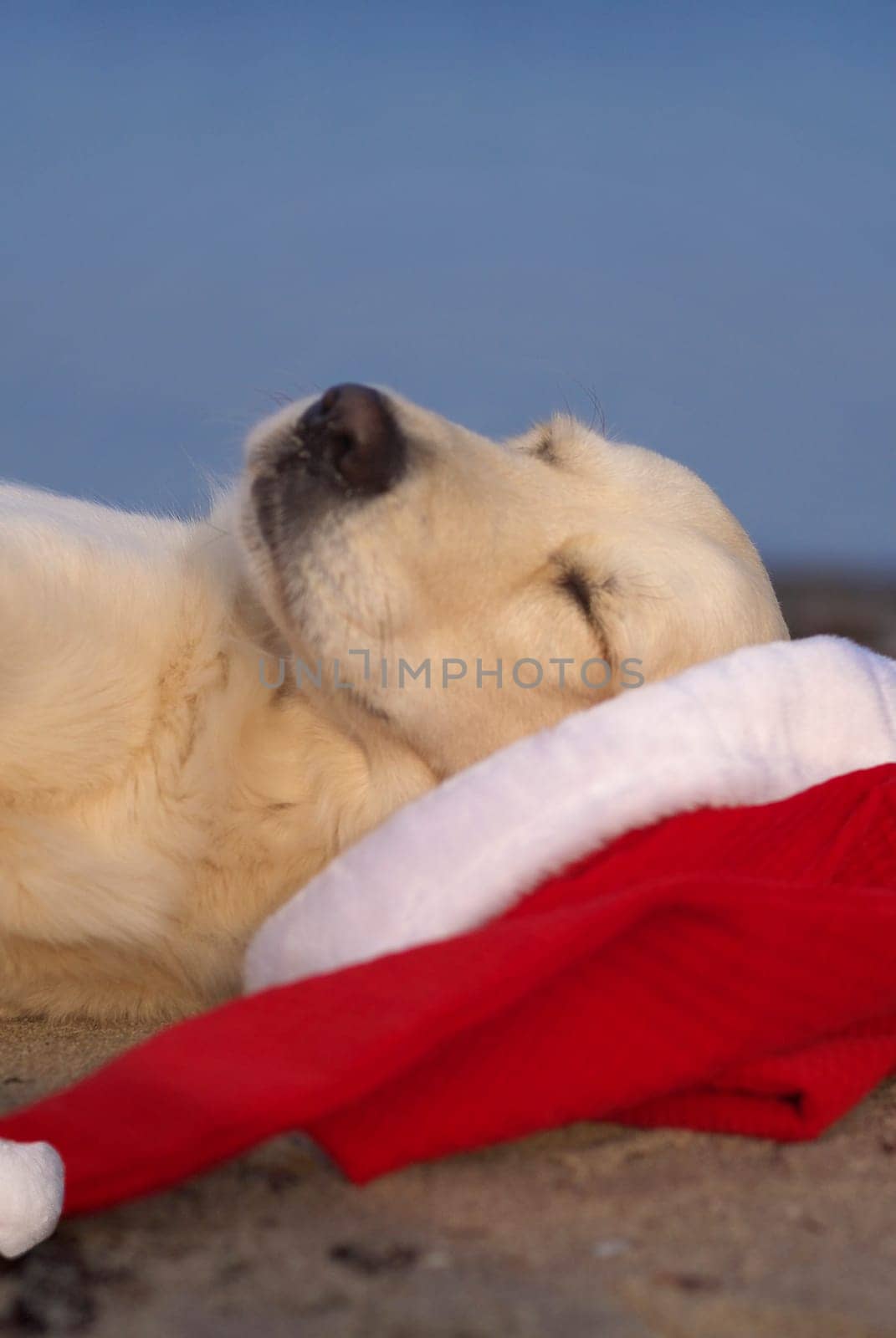 Christmas overslept