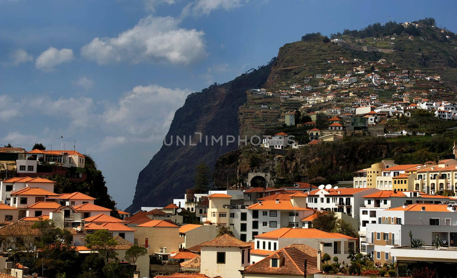 CAMARA DE LOBOS