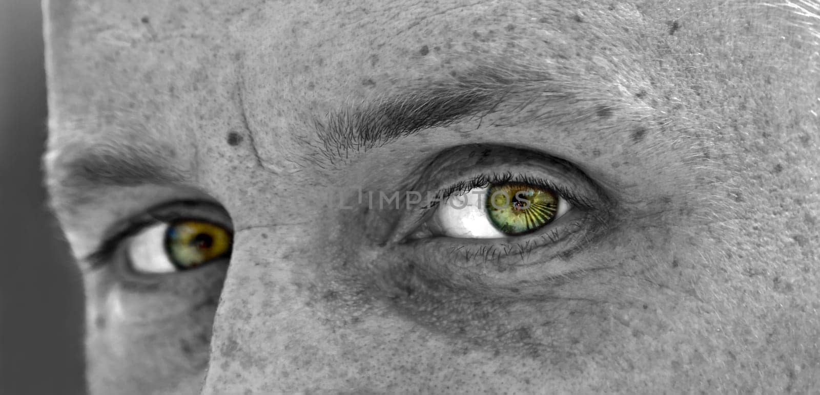Green Eye