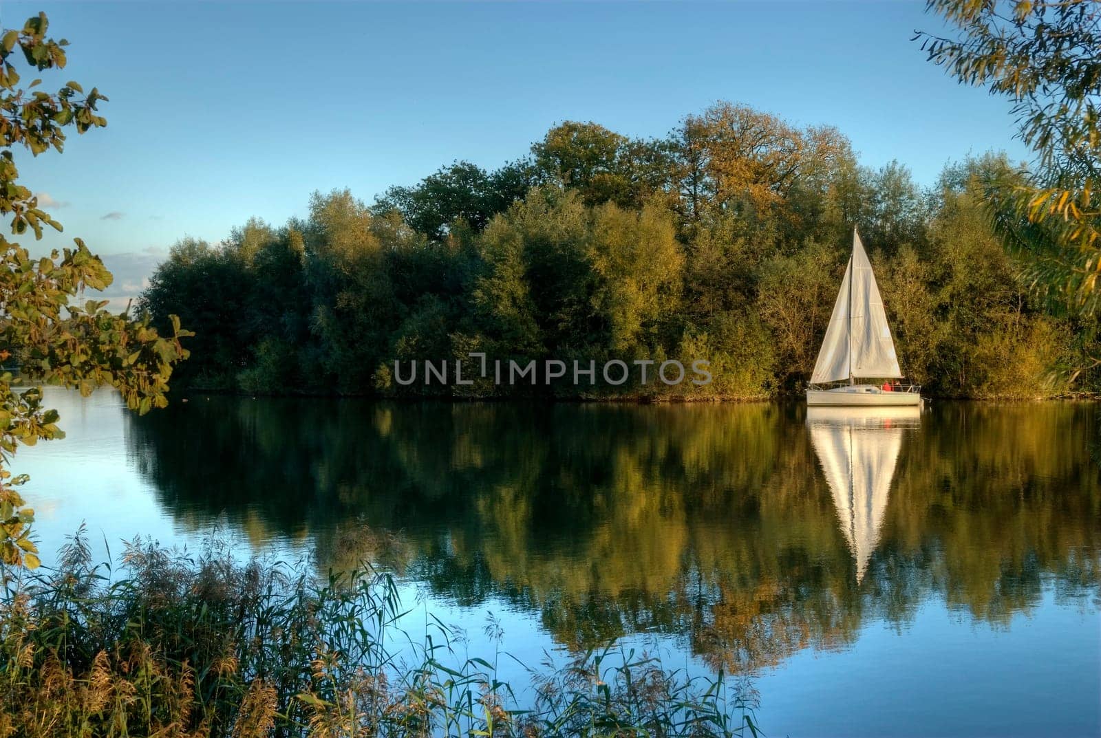 Autumn Impression