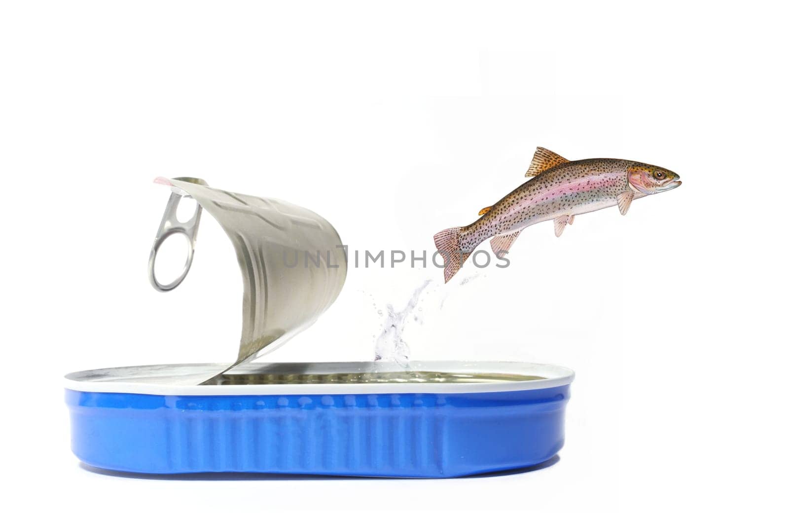 Free Willy