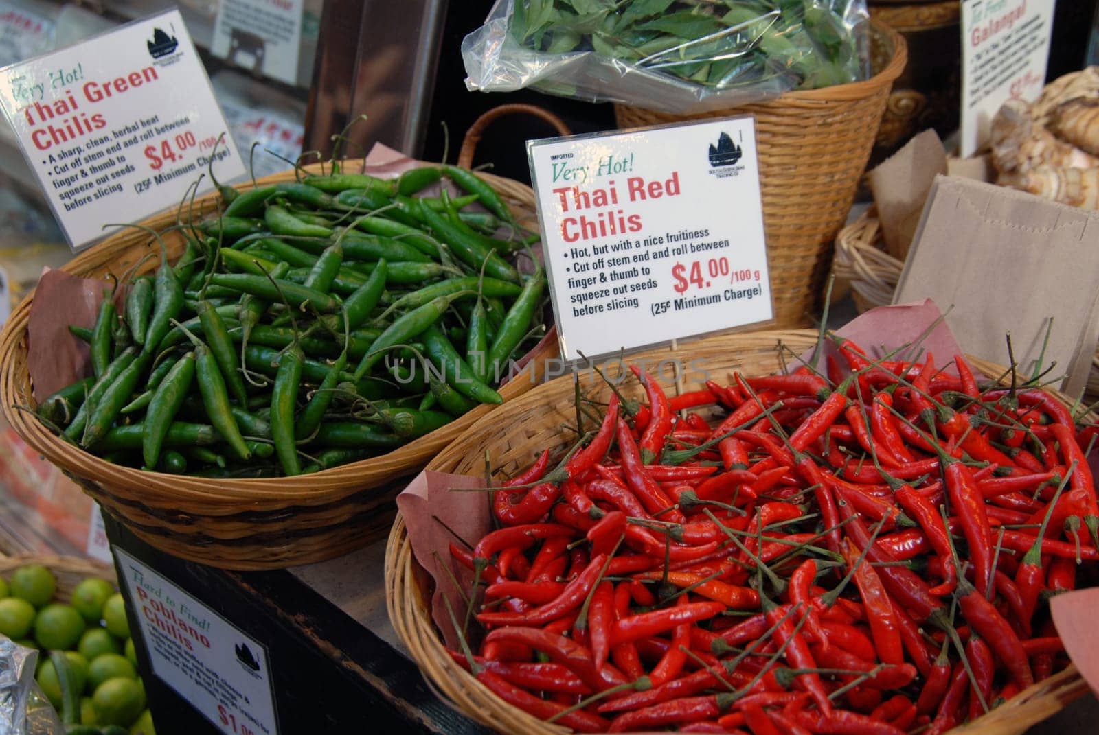 Chilli