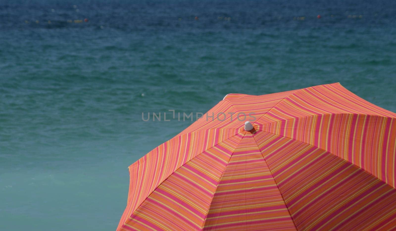1 day at the sea