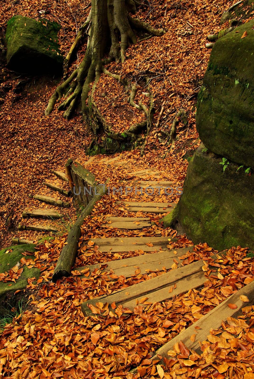 Fire Staircase 08