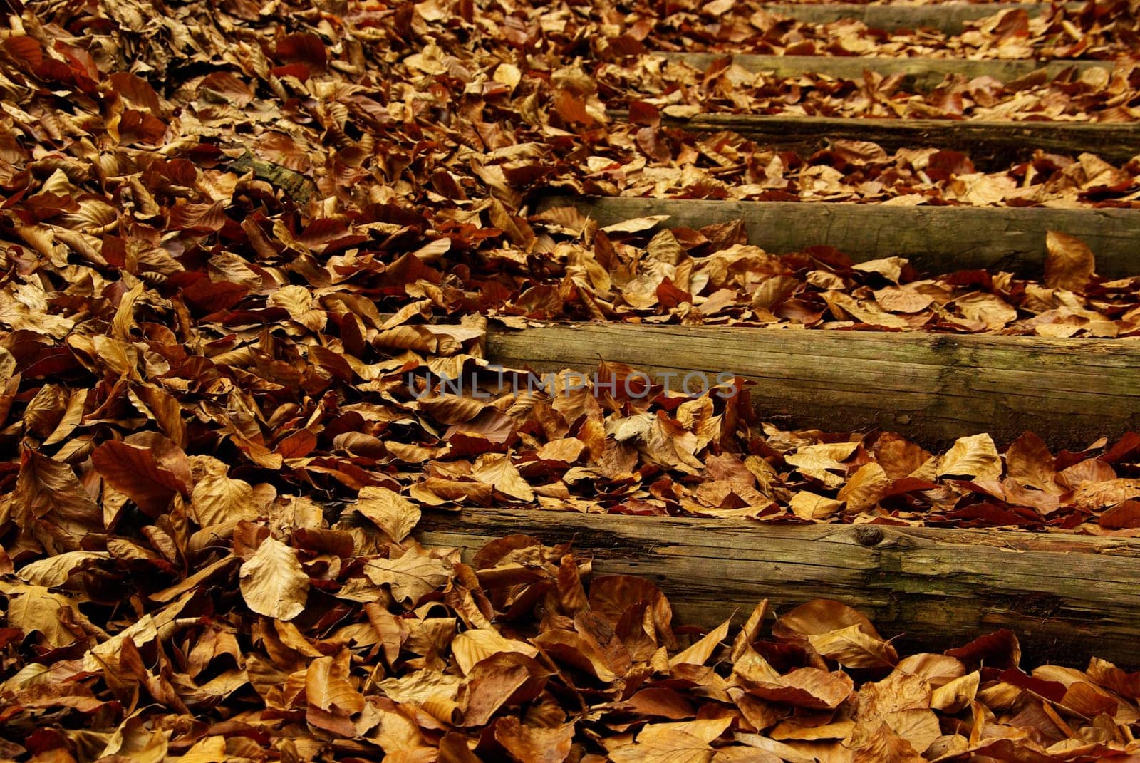 Fire Staircase 05