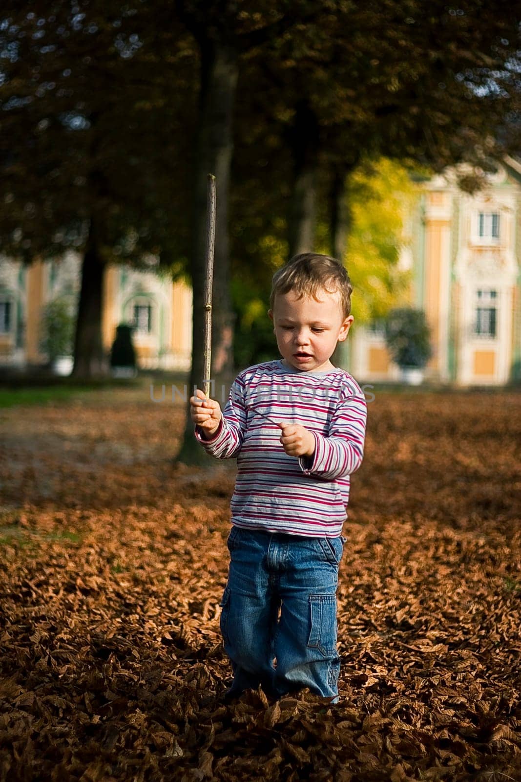 autumn