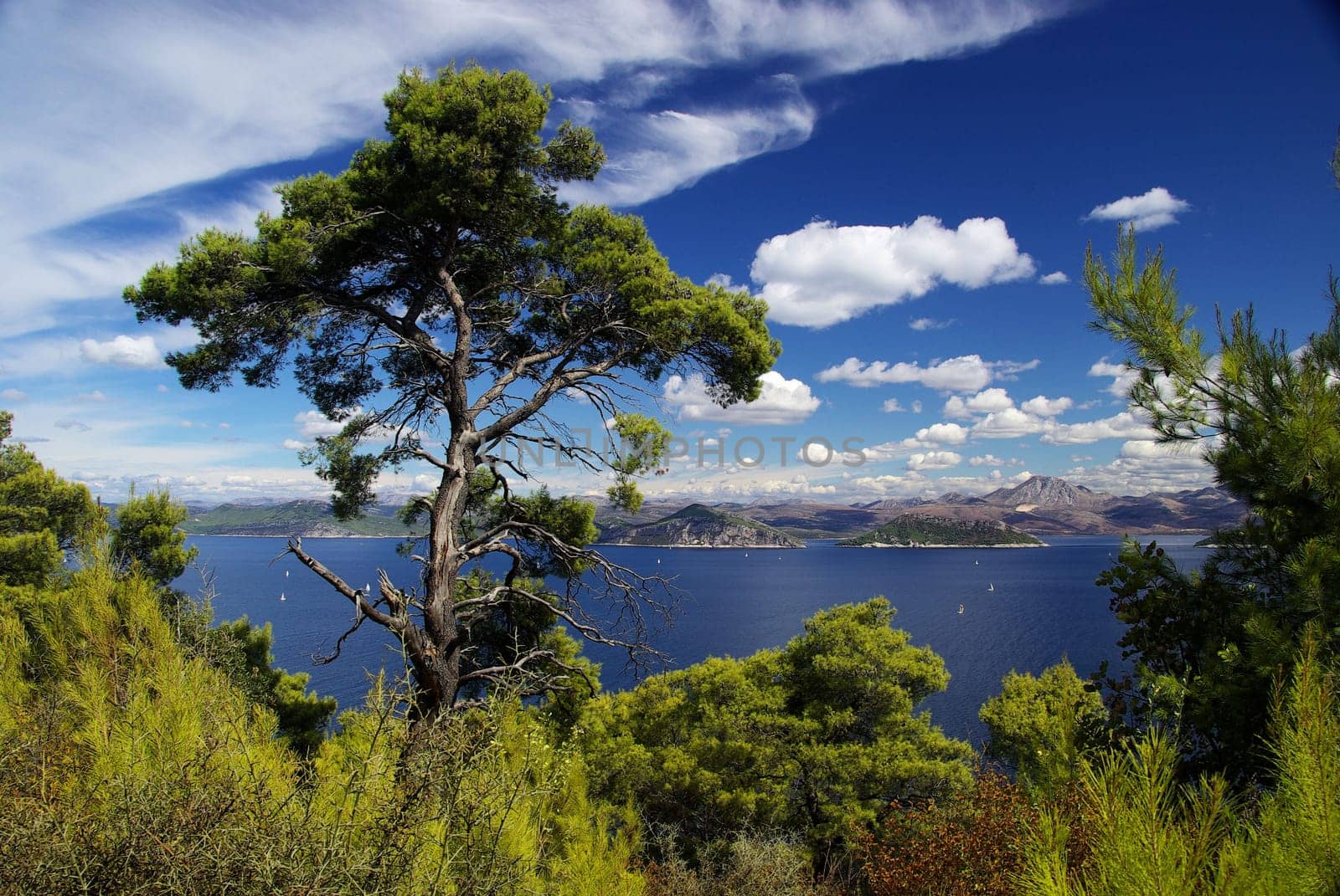 Elaphite Islands 10