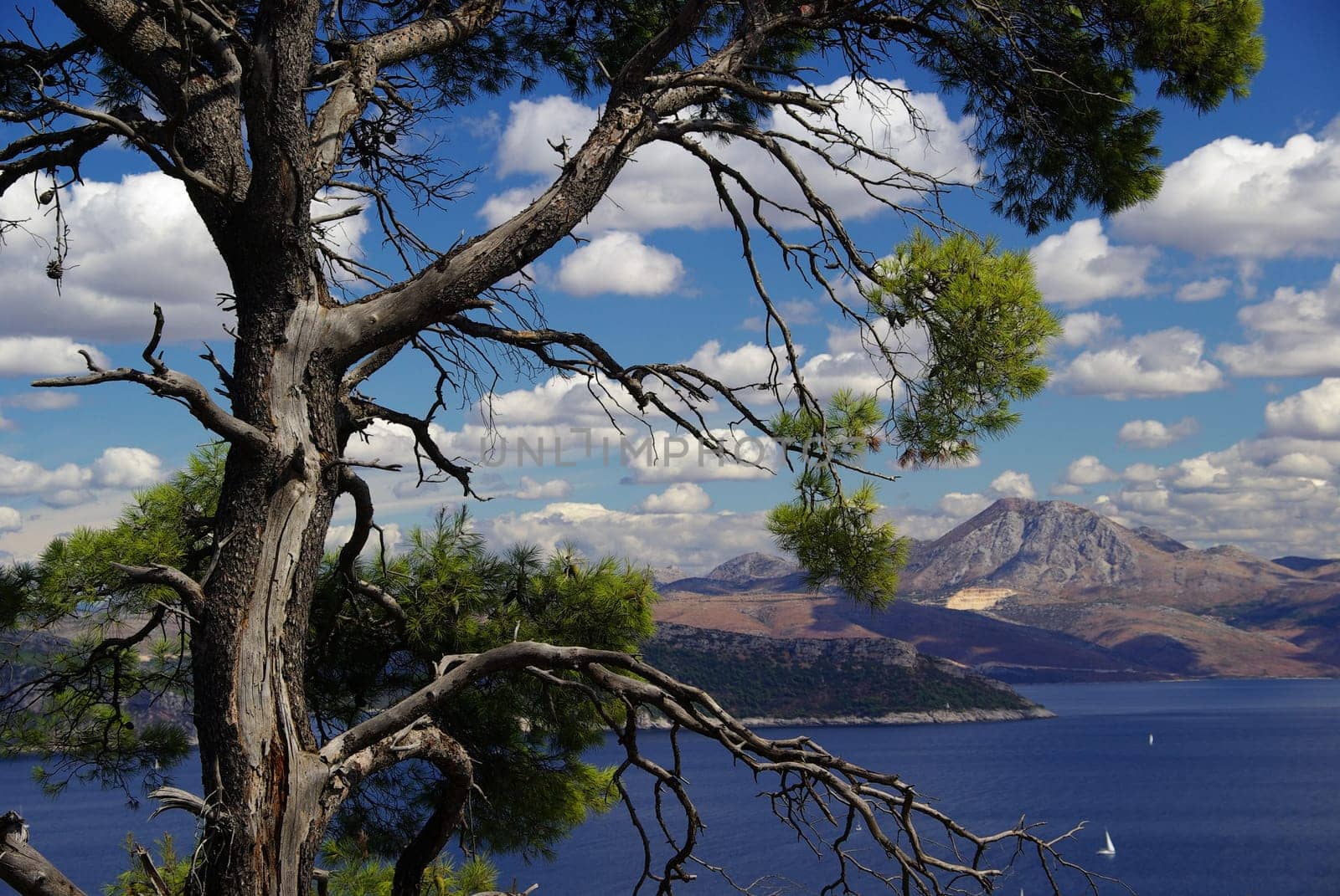 Elaphite Islands 13