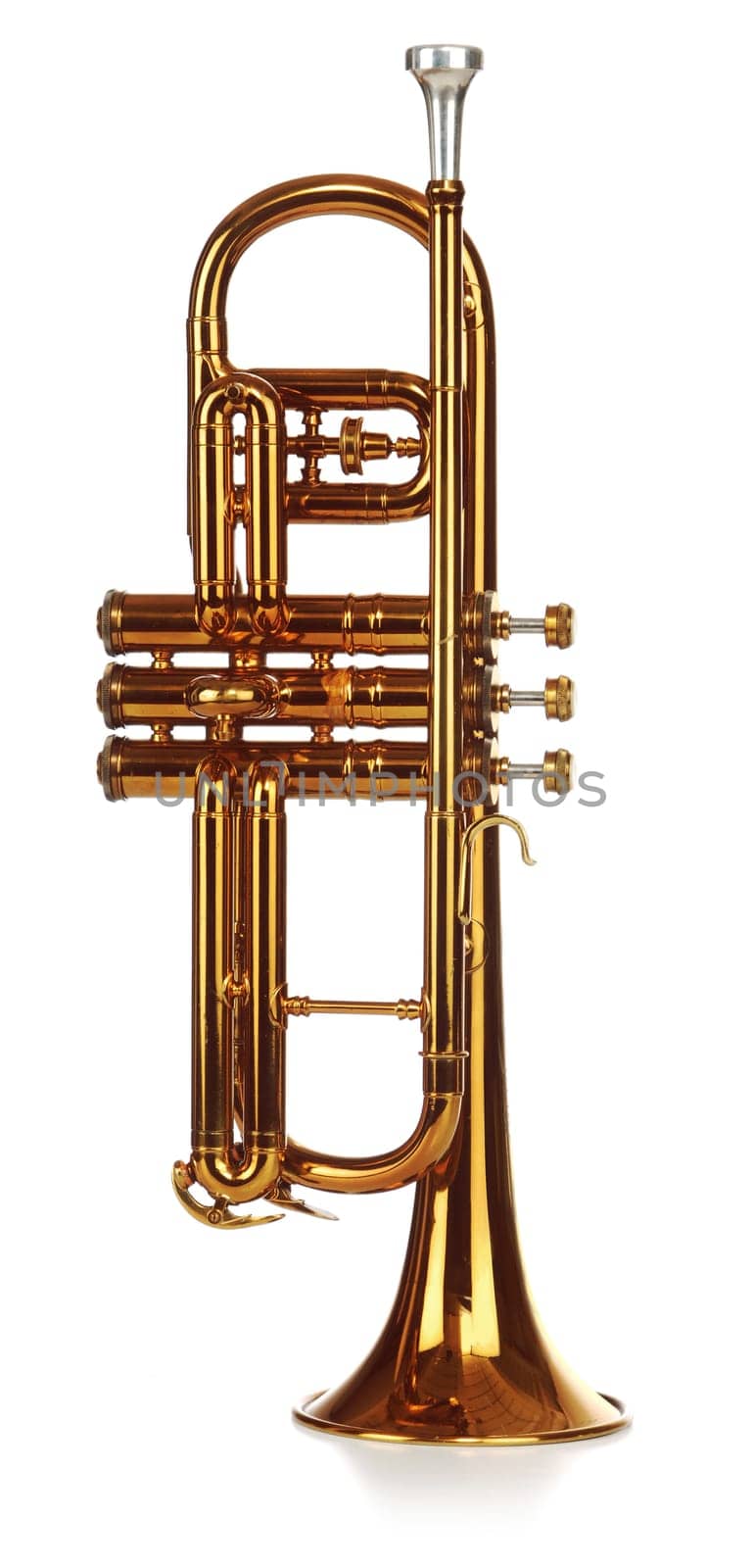 trumpet