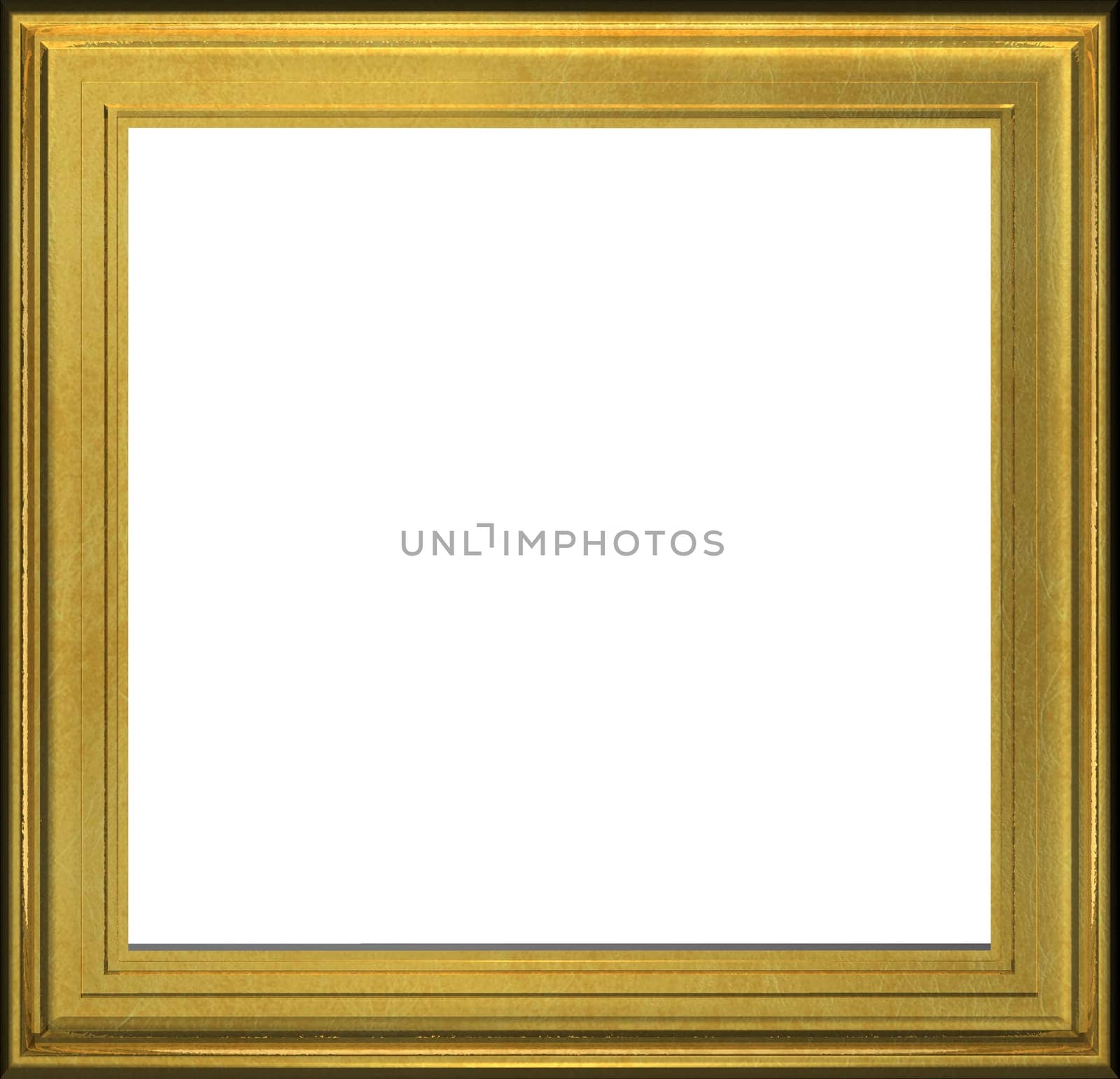 Gold Frame
