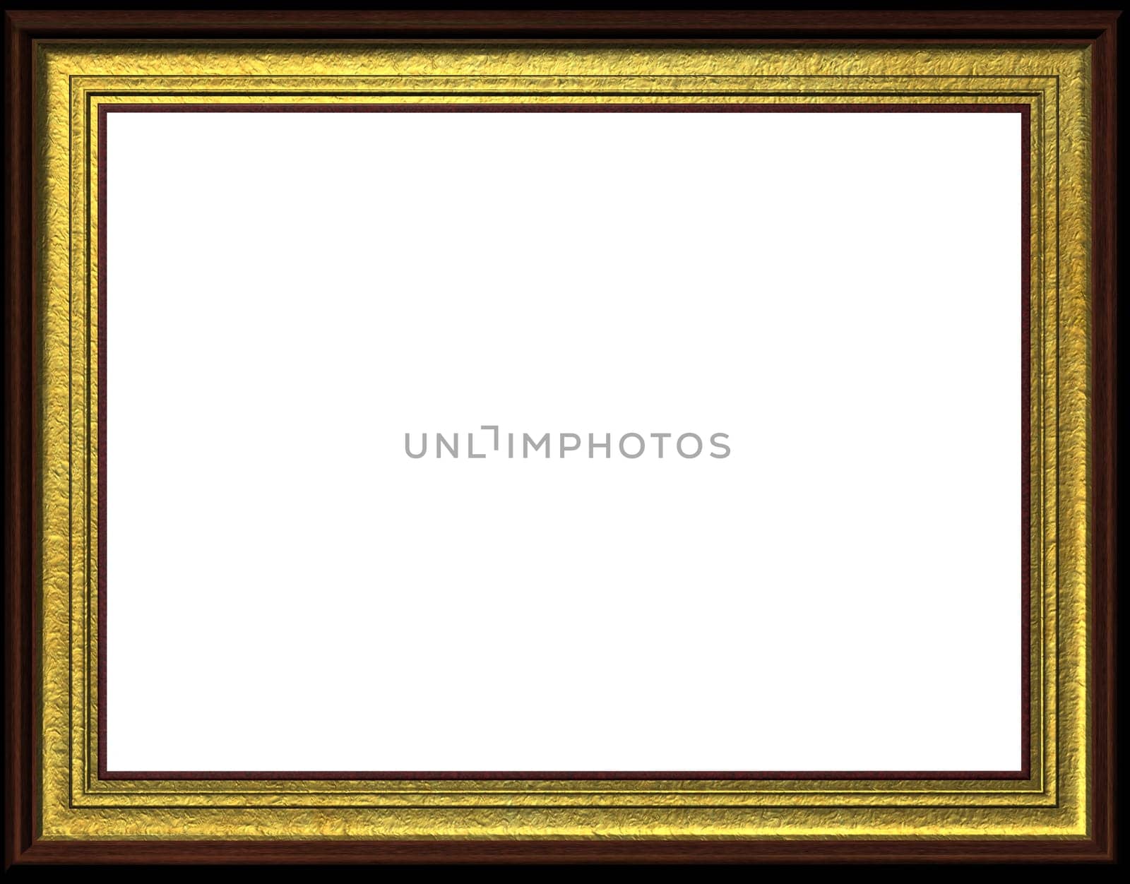Gold Frame