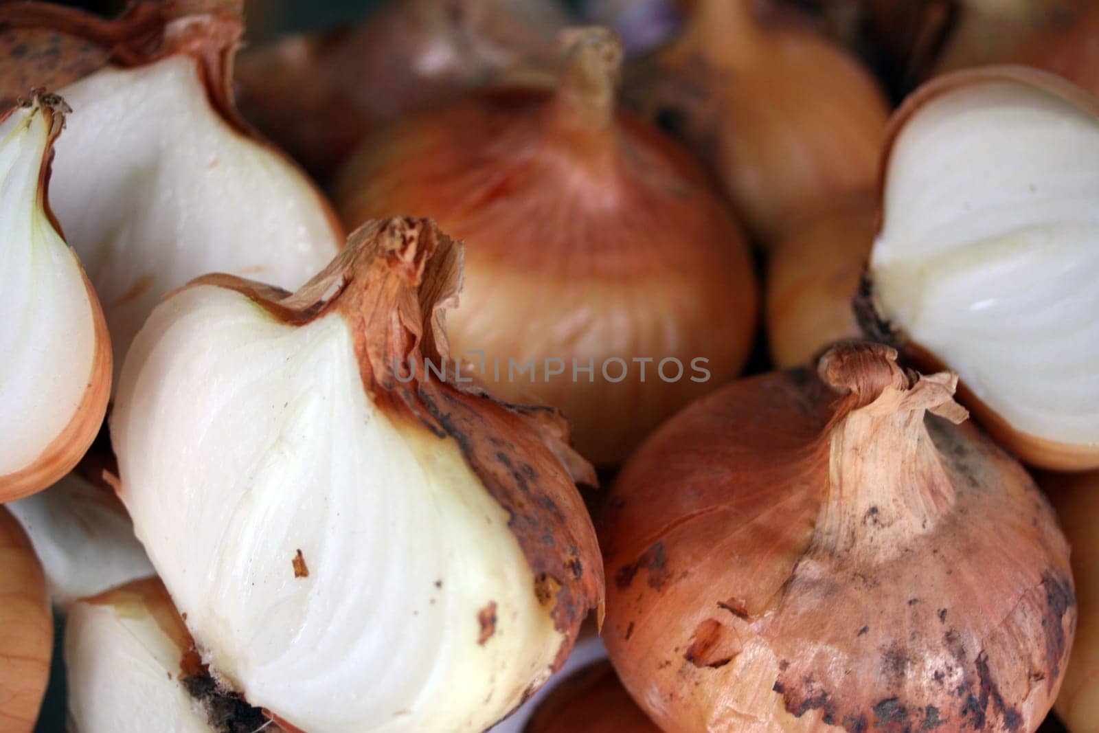 Onion