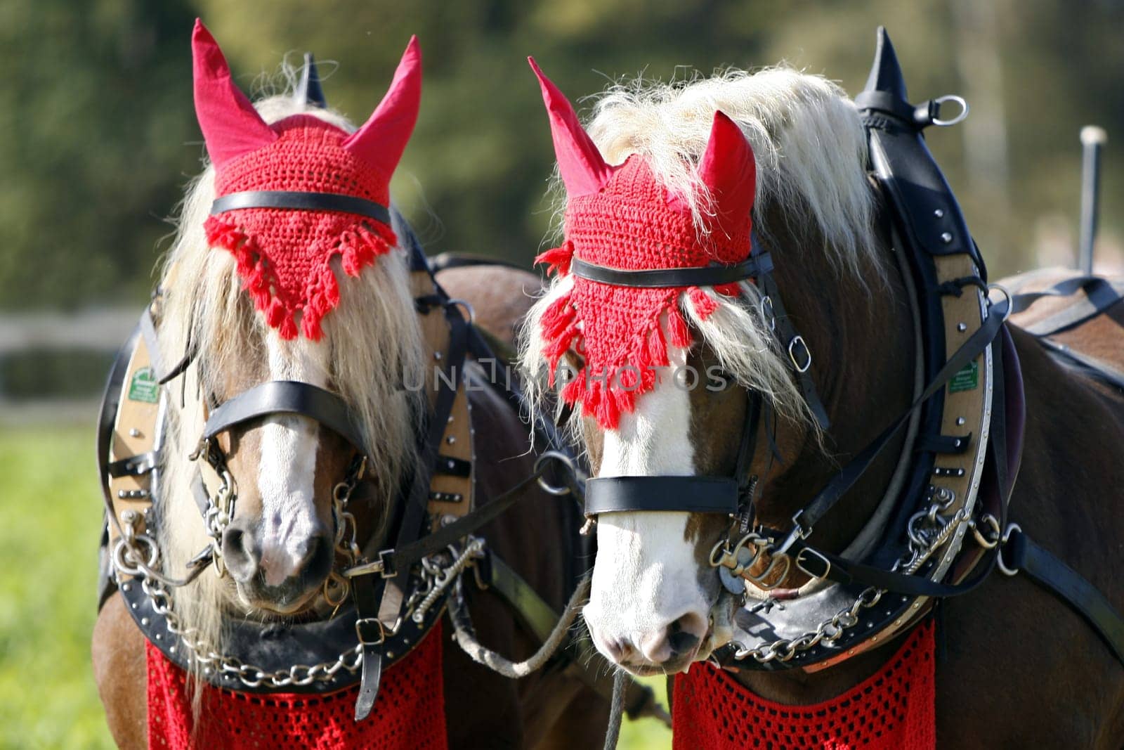 Workhorses