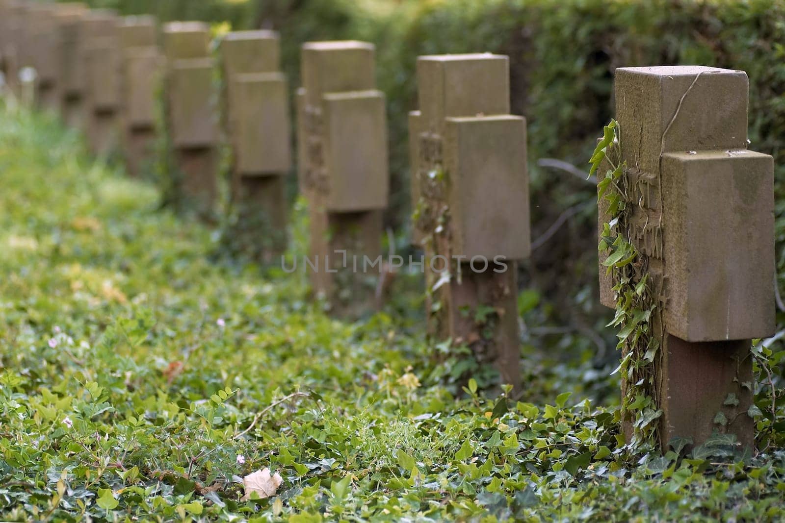 Military Cemetery (2)