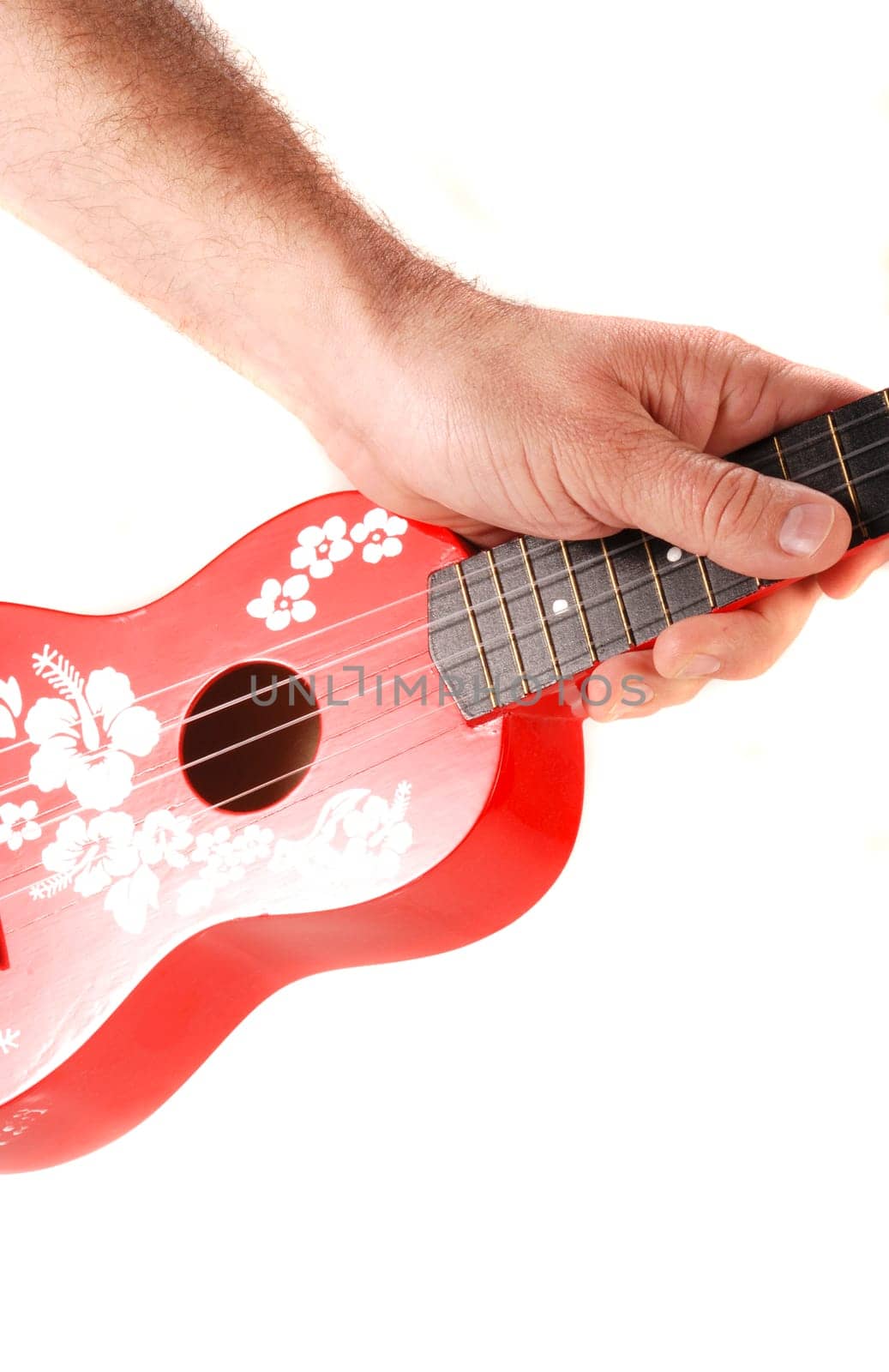 Ukulele