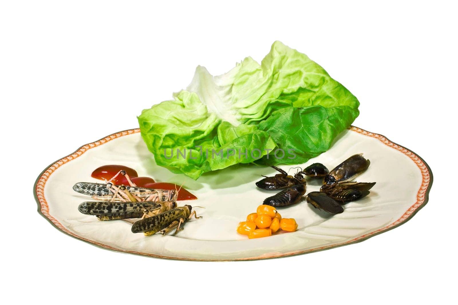Bon Appetit III
