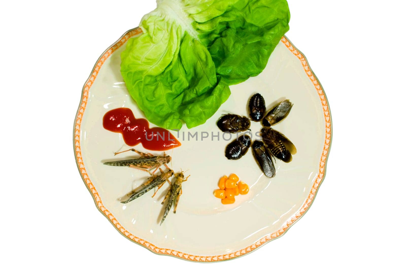 Bon Appetit II