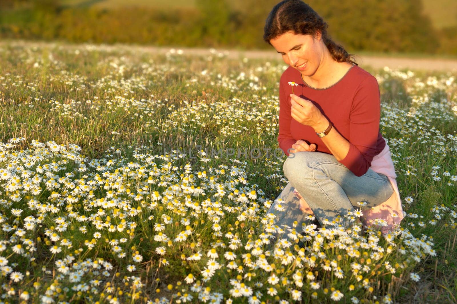 Woman in Marguerite Field